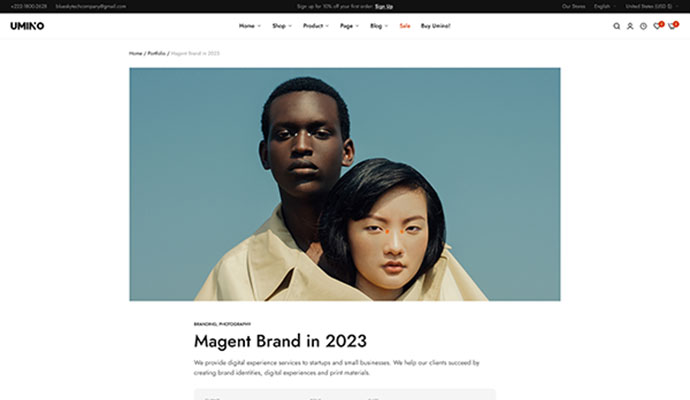 Portfolio detail page